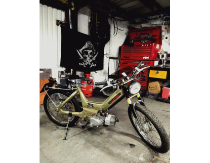 Goldie
