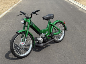 Maxi Candygreen 