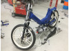 Project N