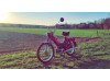 Puch Maxi S 