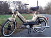 Der Goldene Max