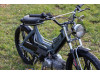 Grey Scrambler
