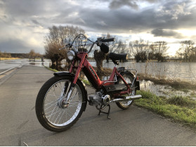 Puch Maxi N 