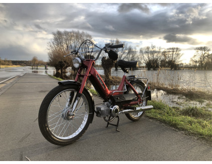 Puch Maxi N 