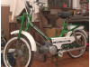 Greenie