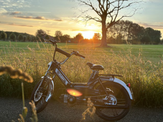 Purple Puch Maxi