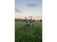 Puch Sven Wittwer