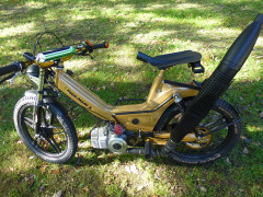 Puch berthold reefmann