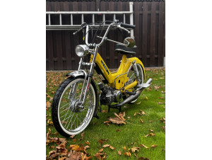 Zitronen Maxi