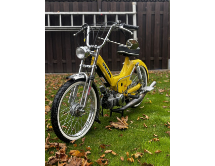 Zitronen Maxi