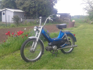 Puch Maxi Glanz