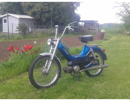 Puch Maxi Glanz