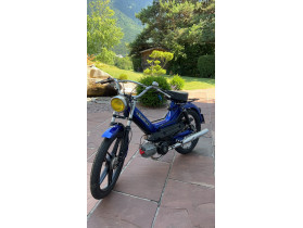 Redbull Puch Maxi