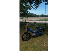 project dikste maxi s van vlaanderen