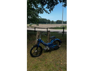 project dikste maxi s van vlaanderen