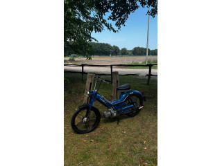 project dikste maxi s van vlaanderen