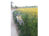 Puch Maxi 2