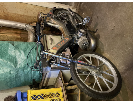 Silver Puch