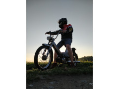 Puch Hans Reese