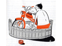 Puch Henri Walters