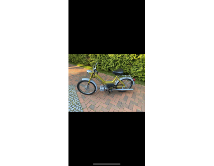 Puch Maxi N Gold