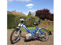 Puch Ash Ellis