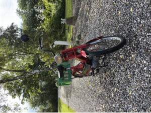 Puch Maxi K