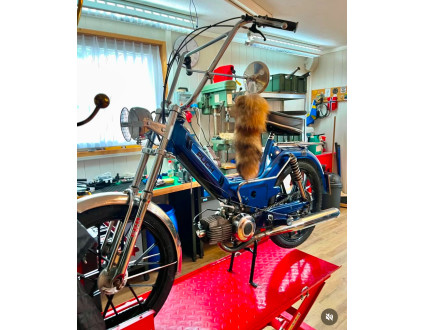 Das gefährliche Heidi