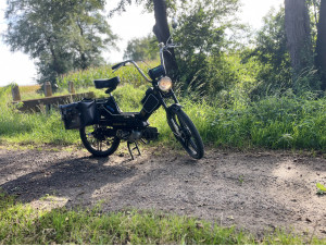 Daily driver 