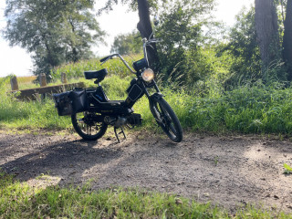 Daily driver 