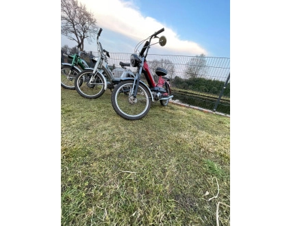 Puch