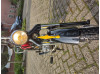 MV50