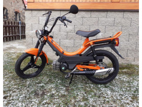 Korado