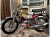 Puch maxi s (cherryblackPearl) (Carbon) 70cc +MVT