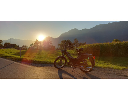 Puch Maxi S Z50