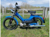 Blauwe parel