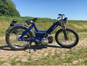 Blue Beauty