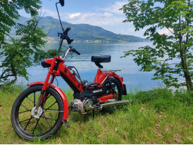 Daniel's Puch Maxi