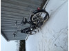 Fridolin
