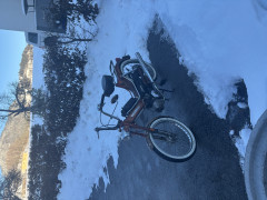 Puch Christoph  Pichler