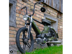 Puch Arthur Moss