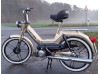 Der Goldene Max