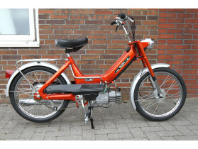 Journey through the past