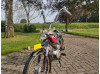MV50