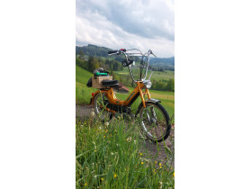 Janik's Puch Maxi S