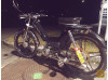 Black Revi
