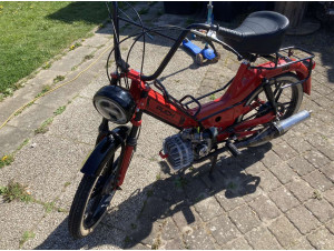 Red scooterrally project