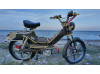 Morelped