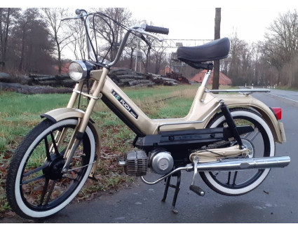 Der Goldene Max