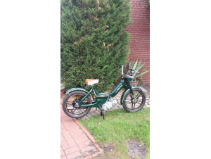 British green